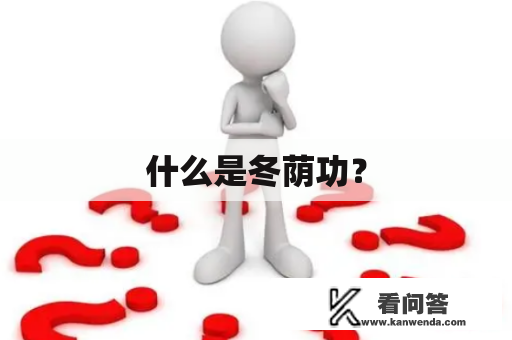 什么是冬荫功？