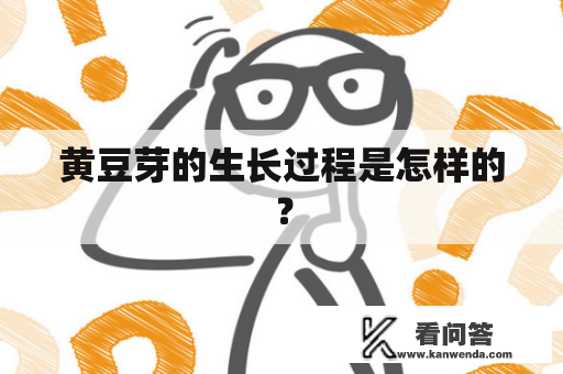 黄豆芽的生长过程是怎样的？
