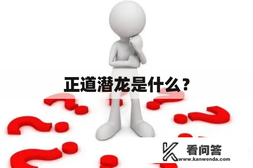 正道潜龙是什么？