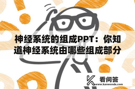 神经系统的组成PPT：你知道神经系统由哪些组成部分吗？