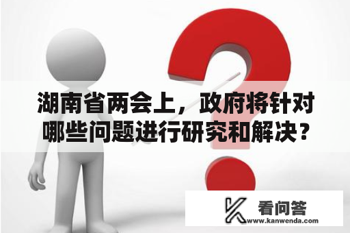 湖南省两会上，政府将针对哪些问题进行研究和解决？