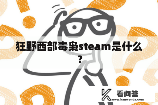 狂野西部毒枭steam是什么？