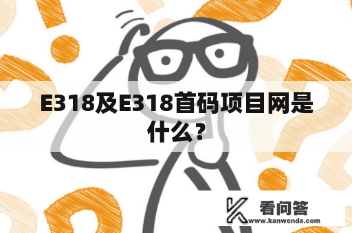 E318及E318首码项目网是什么？