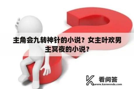 主角会九转神针的小说？女主叶欢男主冥夜的小说？