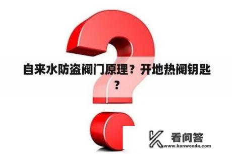 自来水防盗阀门原理？开地热阀钥匙？