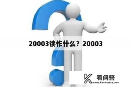 20003读作什么？20003