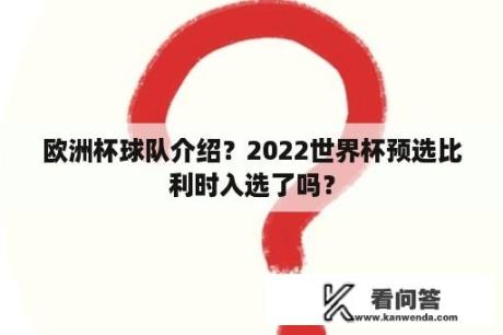 欧洲杯球队介绍？2022世界杯预选比利时入选了吗？