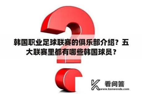 韩国职业足球联赛的俱乐部介绍？五大联赛里都有哪些韩国球员？