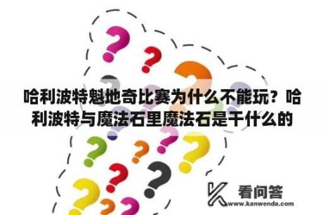 哈利波特魁地奇比赛为什么不能玩？哈利波特与魔法石里魔法石是干什么的？