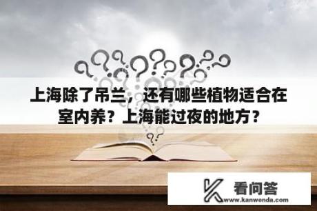 上海除了吊兰，还有哪些植物适合在室内养？上海能过夜的地方？