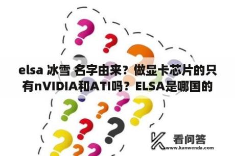 elsa 冰雪 名字由来？做显卡芯片的只有nVIDIA和ATI吗？ELSA是哪国的？