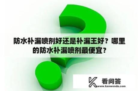 防水补漏喷剂好还是补漏王好？哪里的防水补漏喷剂最便宜？