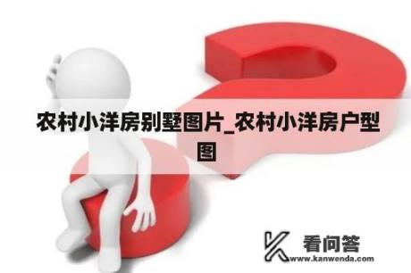  农村小洋房别墅图片_农村小洋房户型图