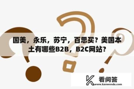 国美，永乐，苏宁，百思买？美国本土有哪些B2B，B2C网站？