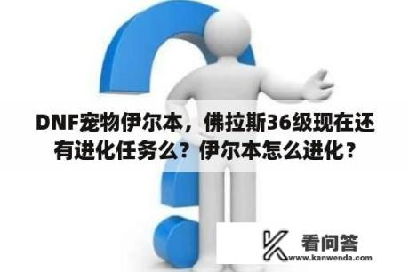 DNF宠物伊尔本，佛拉斯36级现在还有进化任务么？伊尔本怎么进化？