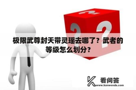 极限武尊封天带灵瑶去哪了？武者的等级怎么划分？