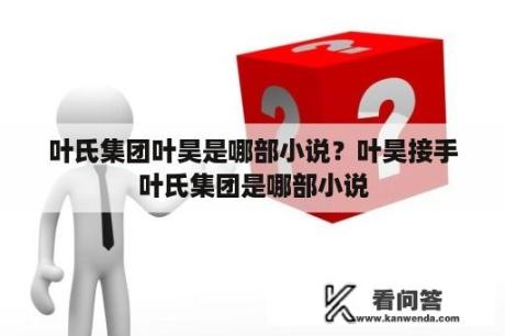 叶氏集团叶昊是哪部小说？叶昊接手叶氏集团是哪部小说