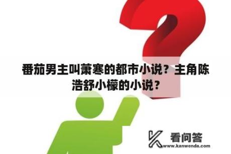 番茄男主叫萧寒的都市小说？主角陈浩舒小檬的小说？