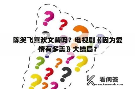 陈笑飞喜欢文馨吗？电视剧《因为爱情有多美》大结局？