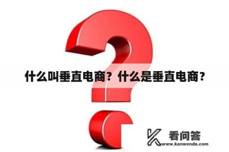 什么叫垂直电商？什么是垂直电商？