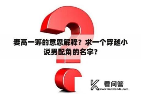 妻高一筹的意思解释？求一个穿越小说男配角的名字？