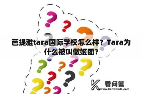 芭提雅tara国际学校怎么样？Tara为什么被叫做姬团？