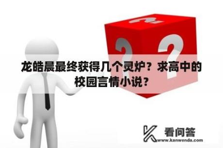 龙皓晨最终获得几个灵炉？求高中的校园言情小说？