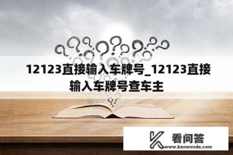  12123直接输入车牌号_12123直接输入车牌号查车主