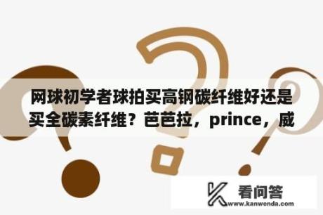 网球初学者球拍买高钢碳纤维好还是买全碳素纤维？芭芭拉，prince，威尔逊，head的网球拍各自有什么特点？