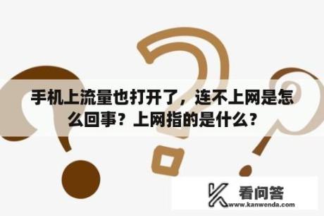 手机上流量也打开了，连不上网是怎么回事？上网指的是什么？