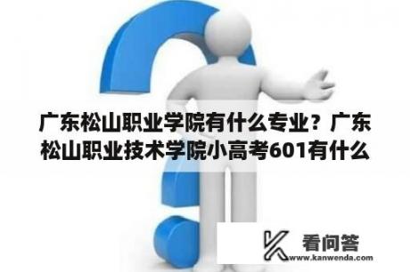 广东松山职业学院有什么专业？广东松山职业技术学院小高考601有什么专业？