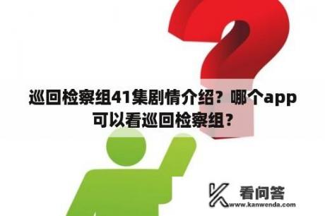 巡回检察组41集剧情介绍？哪个app可以看巡回检察组？