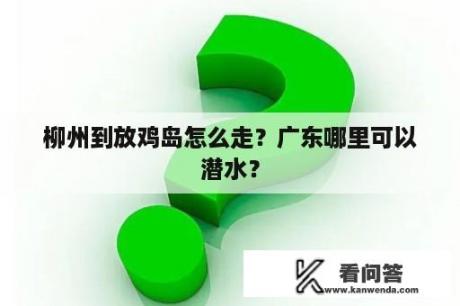 柳州到放鸡岛怎么走？广东哪里可以潜水？