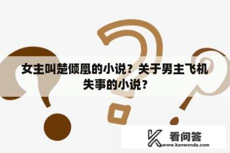 女主叫楚倾凰的小说？关于男主飞机失事的小说？