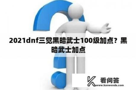 2021dnf三觉黑暗武士100级加点？黑暗武士加点