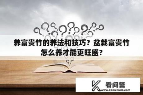 养富贵竹的养法和技巧？盆栽富贵竹怎么养才能更旺盛？