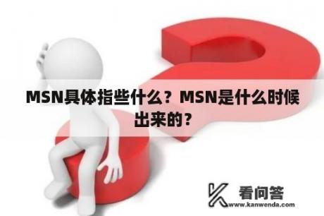 MSN具体指些什么？MSN是什么时候出来的？