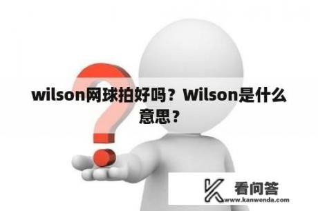 wilson网球拍好吗？Wilson是什么意思？