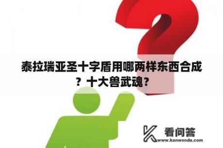 泰拉瑞亚圣十字盾用哪两样东西合成？十大兽武魂？