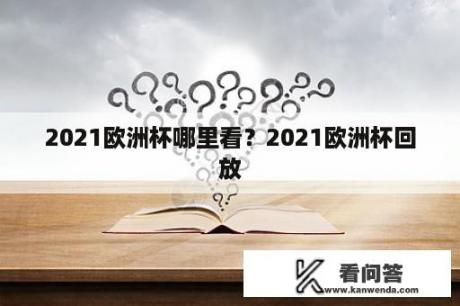 2021欧洲杯哪里看？2021欧洲杯回放