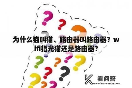 为什么猫叫猫、路由器叫路由器？wifi指光猫还是路由器？