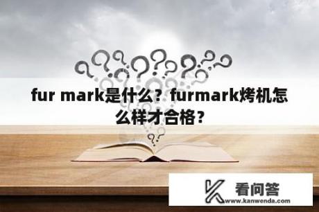 fur mark是什么？furmark烤机怎么样才合格？
