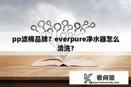 pp滤棉品牌？everpure净水器怎么清洗？