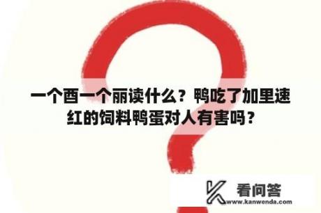 一个酉一个丽读什么？鸭吃了加里速红的饲料鸭蛋对人有害吗？