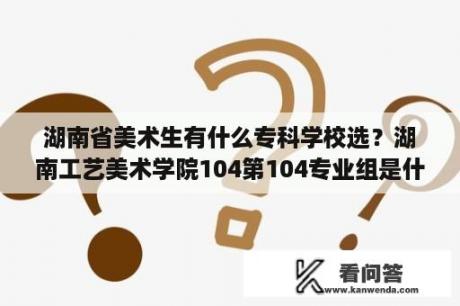 湖南省美术生有什么专科学校选？湖南工艺美术学院104第104专业组是什么专业？