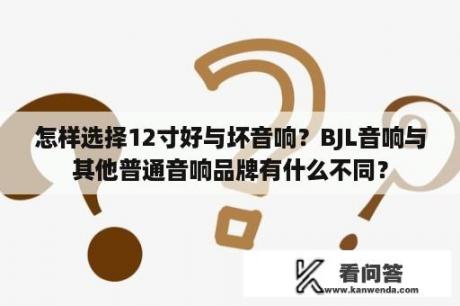 怎样选择12寸好与坏音响？BJL音响与其他普通音响品牌有什么不同？