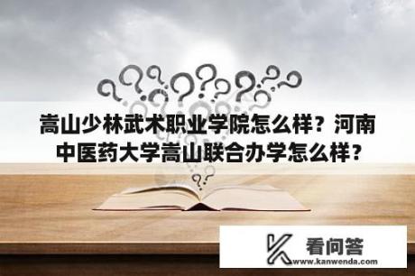 嵩山少林武术职业学院怎么样？河南中医药大学嵩山联合办学怎么样？