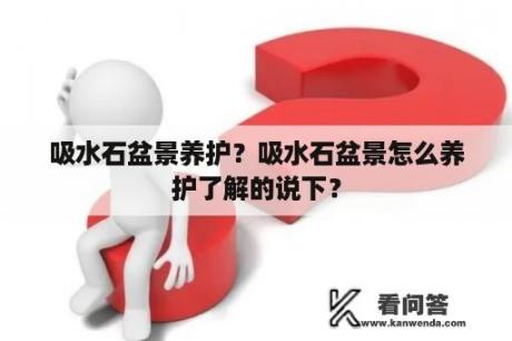 吸水石盆景养护？吸水石盆景怎么养护了解的说下？