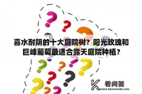 喜水耐阴的十大庭院树？阳光玫瑰和巨峰葡萄最适合露天庭院种植？