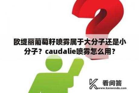 欧缇丽葡萄籽喷雾属于大分子还是小分子？caudalie喷雾怎么用？